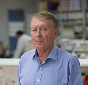 Dr Paul Kearney – Executive Director